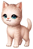 Baby Cat