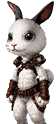 Baby Rabbit